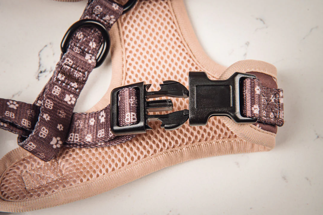 BB Paw MaxComfort Dog Harness - Image 3