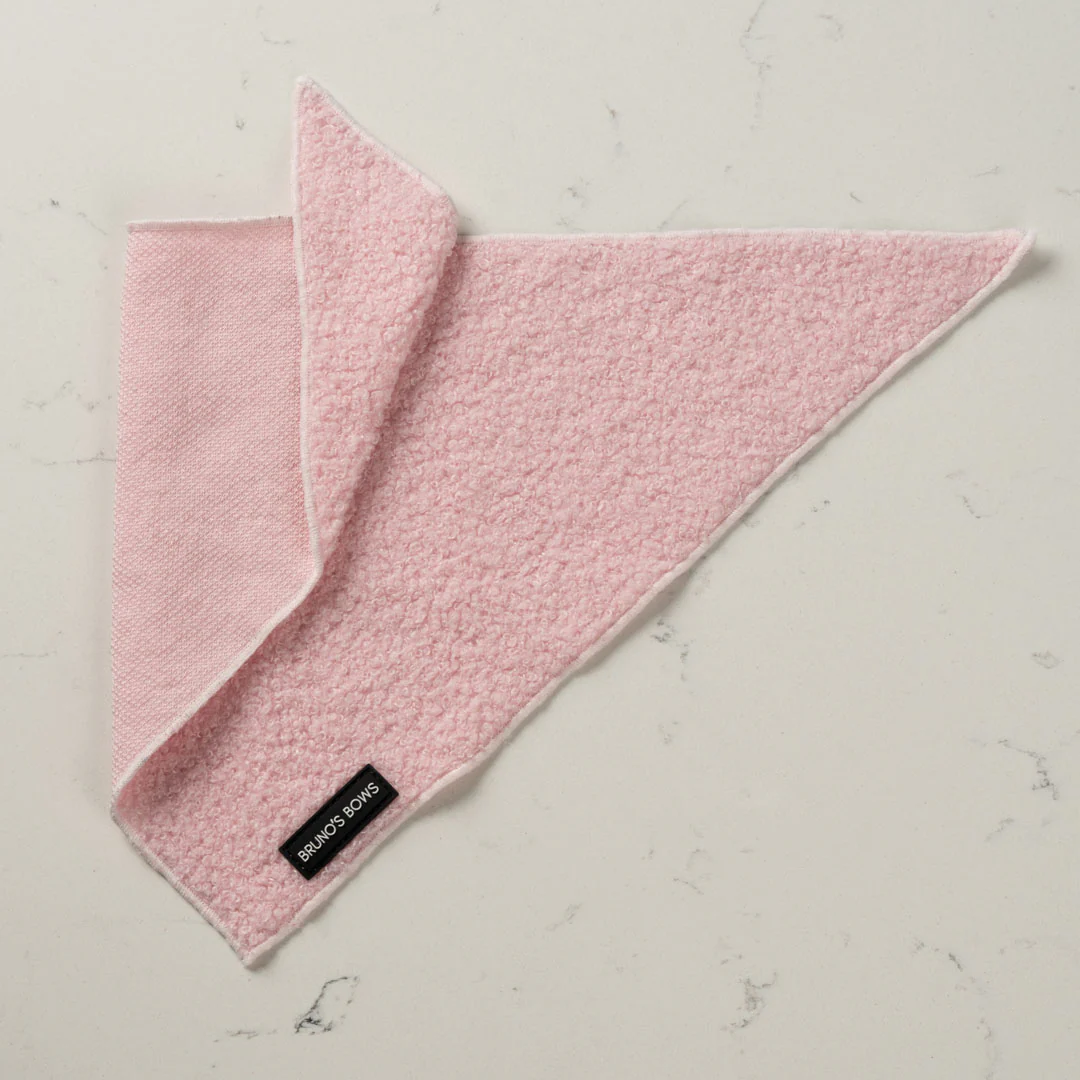 Teddy Harness Bundle - Pink - Image 10